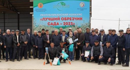 В Дагестане завершился  республиканский этап конкурса «Лучший обрезчик сада – 2023».