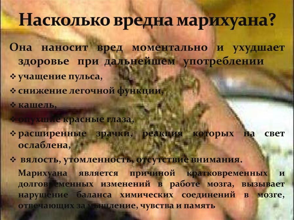 Марихуана это плохо купить семена марихуаны оптом